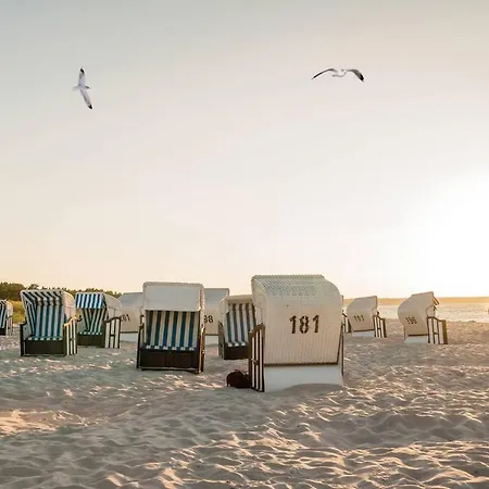 Apartment White Pearl 0.13 *